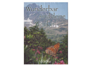 Wunderbar sind Deine Werke (DVD)