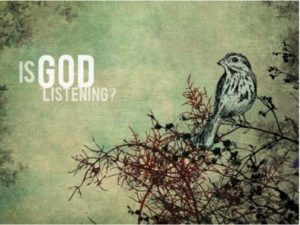 Vineyard - Is God listening?