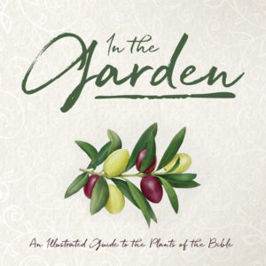 Write a Review - In the Garden