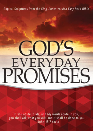 Write a Review - God's Everyday Promises