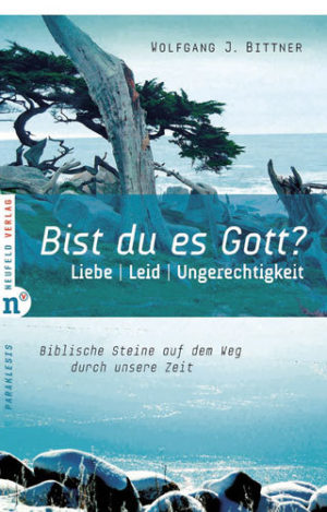 Werner J. Bittner - Bist du es Gott