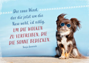 Postkarte: Der raue Wind, der dir jetzt um die Nase weht