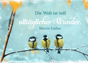 Postkarte: Die Welt ist voll alltäglicher Wunder