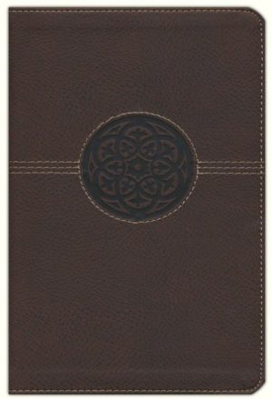 NRSV: Large-Print Thinline Reference Bible--soft leather-look (brown)