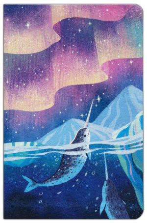 CSB Kids Bible: soft leather-look, ocean with narwhals