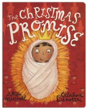 Alison Mitchell - The Christmas Promise Board Book
