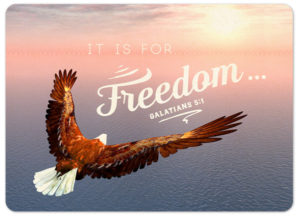 Postkarte: For freedom (XL)