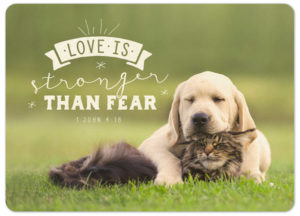Postkarte: Love is stronger (XL)