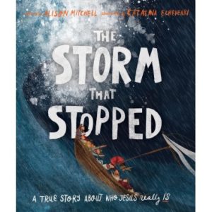 Alison Mitchell - The Storm That Stopped