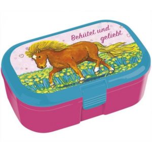 Lunchbox: Behütet und geliebt