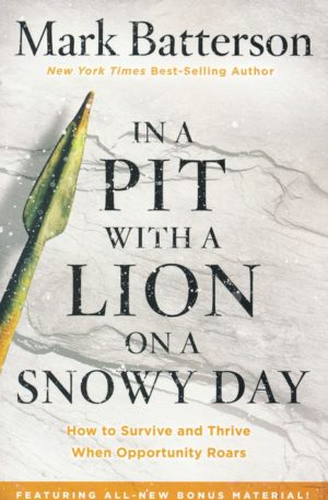Mark Batterson - In a Pit with a Lion on a Snowy Day
