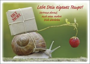Postkarte: Lebe dein eigenes Tempo (12 Stück)
