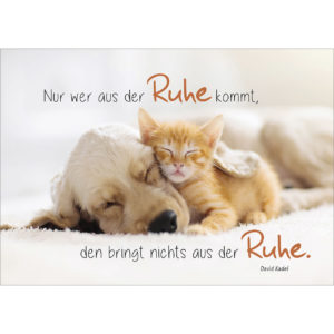 Postkarten: Nur wer aus der Ruhe kommt (12 Stück)