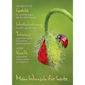 Postkarten: Gott gebe mir die Geduld (4 Stück)