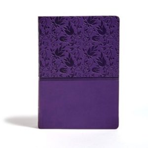 KJV: Super Giant-Print Reference Bible--soft leather-look, purple