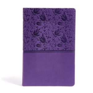 KJV: Super Giant-Print Reference Bible--soft leather-look, purple (indexed)