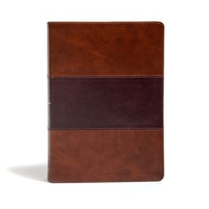 KJV: Super Giant-Print Reference Bible--soft leather-look, charcoal