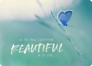 Postkarte: Beautiful in it's time (XL)