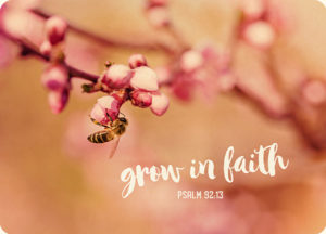 Postkarte: Grow in faith (XL)