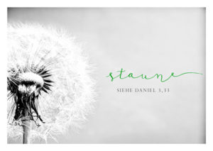 Postkarte: Staune (Black & White)