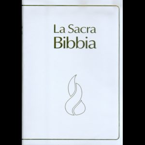 Bibbia NR94 - 32352 (SG32352)