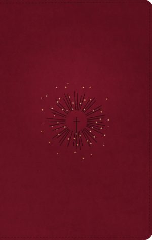 NLT Thinline Reference Bible (Red)