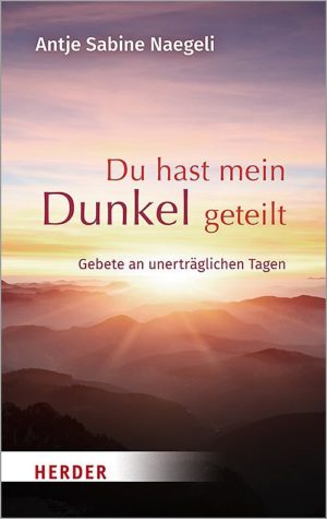 Antje Sabine Naegeli - Du hast mein Dunkel geteilt