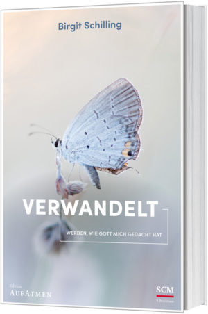 Birgit Schilling - Verwandelt