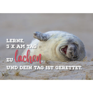 Postkarte: Lerne, 3 x am Tag zu lachen (4 Stück)