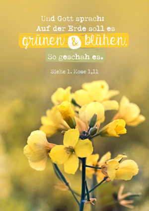 Postkarte: Grünen und blühen