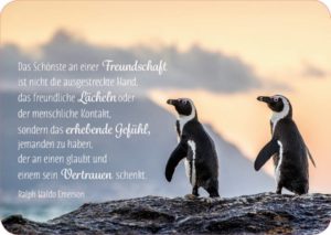 Postkarte: Das Schönste an einer Freundschaft