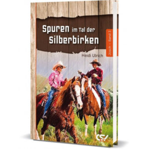 Heidi Ulrich - Josh 3: Spuren im Tal der Silberbirken