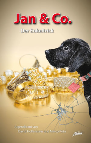 David Hollenstein - Jan & Co.: Der Enkeltrick (Buch)