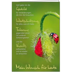 Faltkarte: Gott gebe mir die Geduld