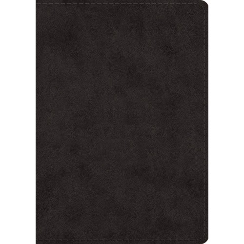 10066648_LRG-500x500