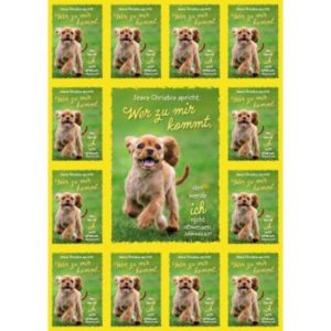 Jahreslosung 2022 - Aufkleber-Grußkarten: Hund (4 Stück)