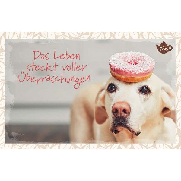 Teekarte Das Leben steckt voller Überraschungen ilovejesus.ch