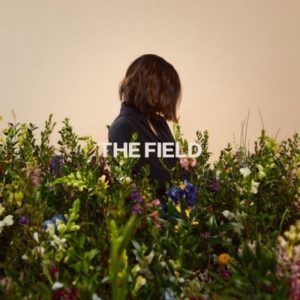Kristene DiMarco - The Field (Bethel Music)