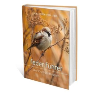 Alexander vom Stein - feder:führer