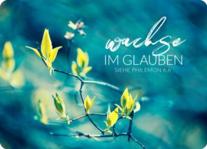 Big Blessing: Wachse