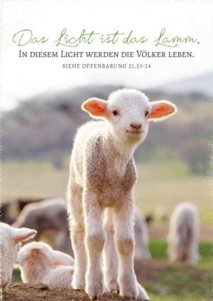 Postkarte: Das Lamm