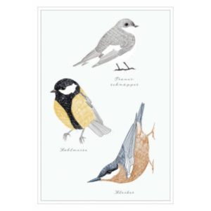 Postkarte: natur-verliebt - Vögel