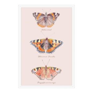 Postkarte: natur-verliebt - Schmetterling