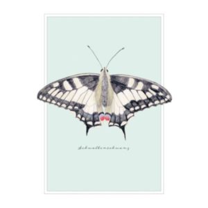 Postkarte: natur-verliebt - Schwalbenschwanz