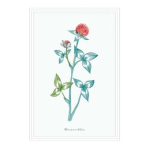 Postkarte: natur-verliebt - Wiesenklee