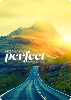 Postkarte Big Blessing: His way is perfect (XL Format)