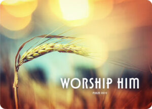 Postkarte Big Blessing: Worship him (XL Format)