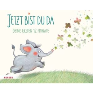 Nina Hammerle - Jetzt bist du da - Deine ersten 12 Monate