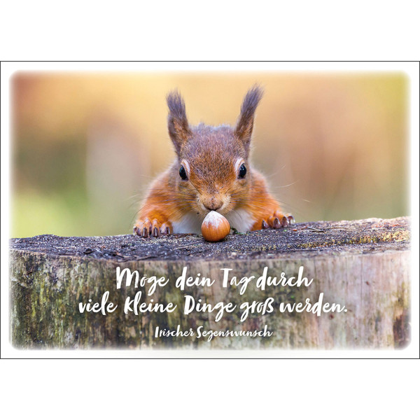Postkarten InMotion Möge dein Tag durch viele kleine Dinge groß