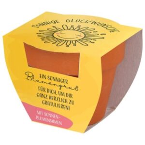 Blumenüberraschung: Sonnige Glückwünsche